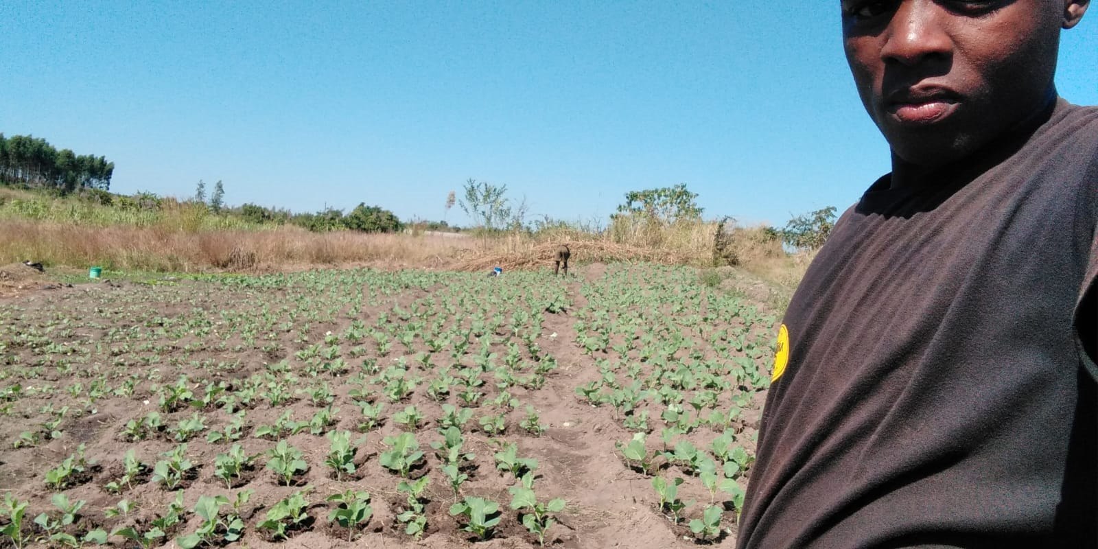 Community member documenting rows of crops in a cultivated field